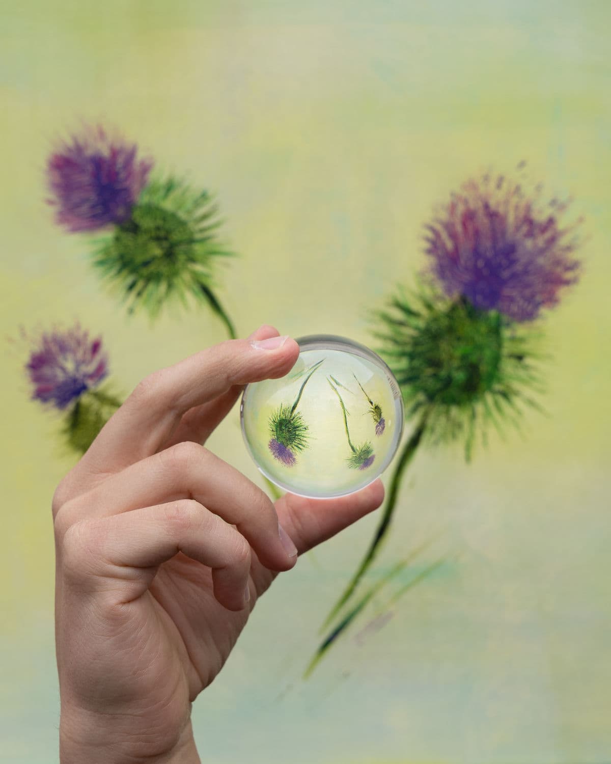 Kunstprojekt 3 – Regina Ahlgrimm-Siess